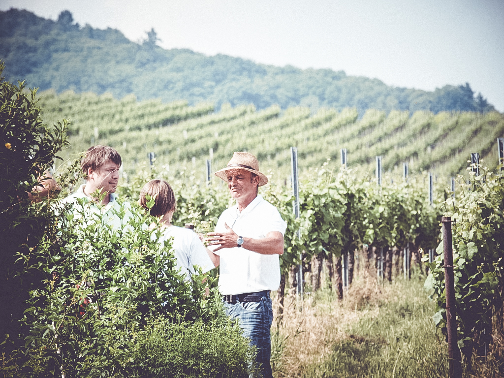 Bild Reinhold-im-Weinberg_1