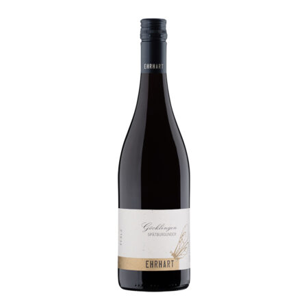 2025 Göcklingen Syrah trocken